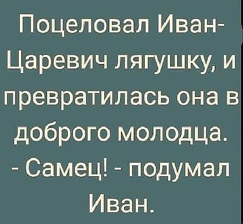 Поцеловал Иван Царевич лягушку и превратилась она в доброго молодца Самец подумал Иван
