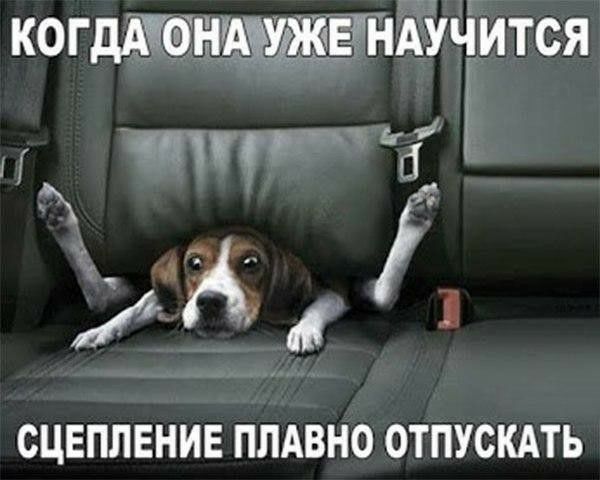когдаится 1 б м СЦЕПЛЕНИЕ ПЛАВНО ОТПУСКАТЬ
