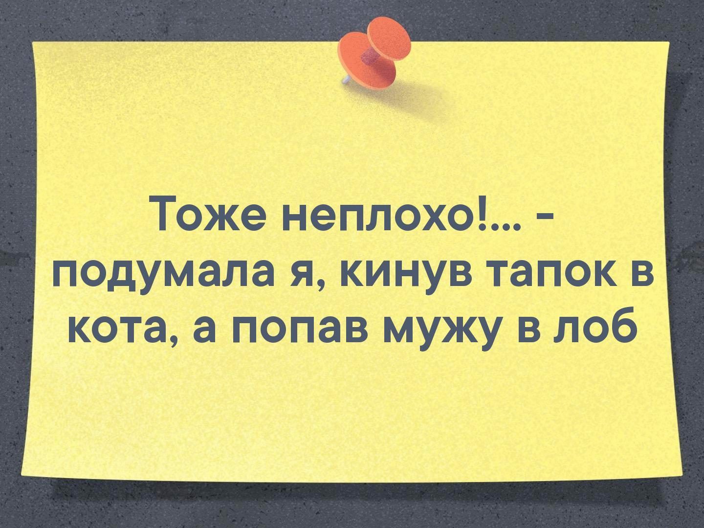 Тоже неплохо подумала я кинув тапок в кота а попав мужу в лоб