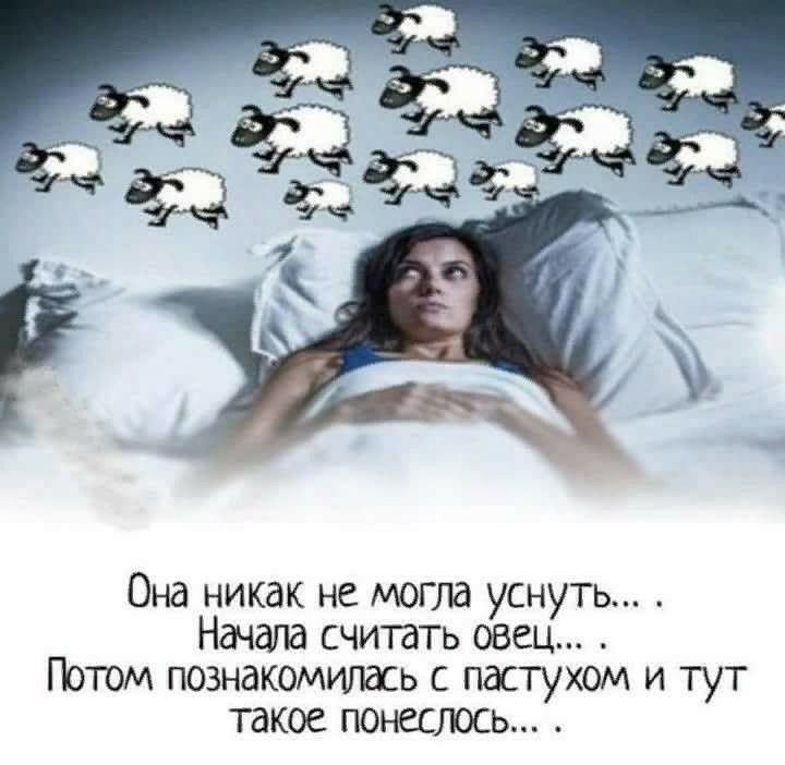 Она никак не могла уснуть Начала считать овец Потом познакомишась с пастухом и тут такое понеслоь