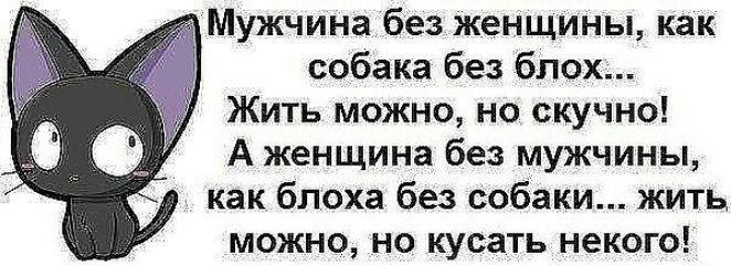 Мужчина без женщины как собака без блох Жить можно но скучно А женщина без мужчины как блоха без собаки жить можно но кусать некого