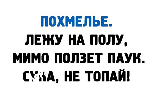 ПОХМЕЛЬЕ ЛЕЖУ НА ПОЛУ МИМО ПОЛЗЕТ ПАУК СКЪЪА НЕ ТОПАЙ