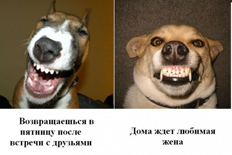 Возвращаешься в пятницу после Дома ищет гшъбнмая встречи с друзьями жена