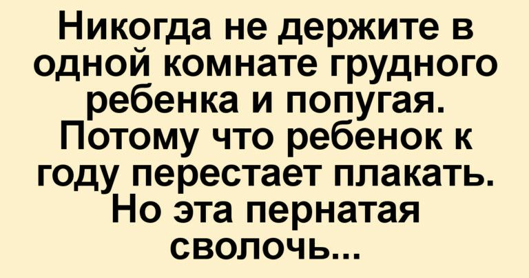 Никогда не держите в одной комнате грудного ребенка и попугая Потому что ребенок к году перестает плакать Но эта пернатая сволочь