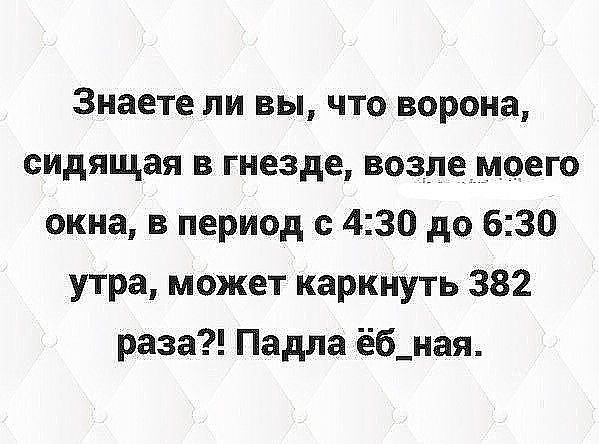 Знаете ли вы что ворона сидящая в гнезде возлемоего окна в период с 430 до 630 утра может каркнуть 382 раза Падла еб_ная