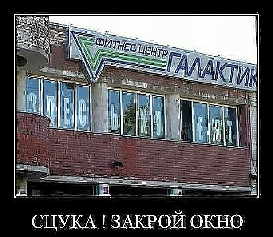 31 7 Е _ СЦУКА ЗАКРОЙ ОКНО