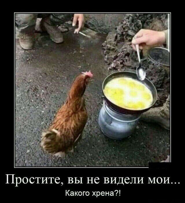 ПРОСТИТС вы не видели МОИ Какого хрена