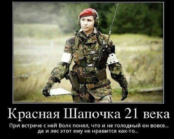 Красная Шапочка 21 века При встрече с ней Вплк понял что И не голодный он вовсе да и лес этпт ему не нравится как то