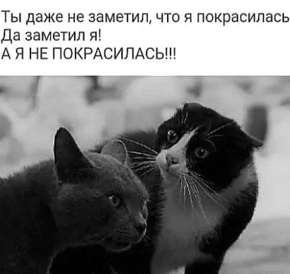 Ты даже не заметил что я покрасилась Да заметил я А Я НЕ ПОКРАСИЛАСЬ