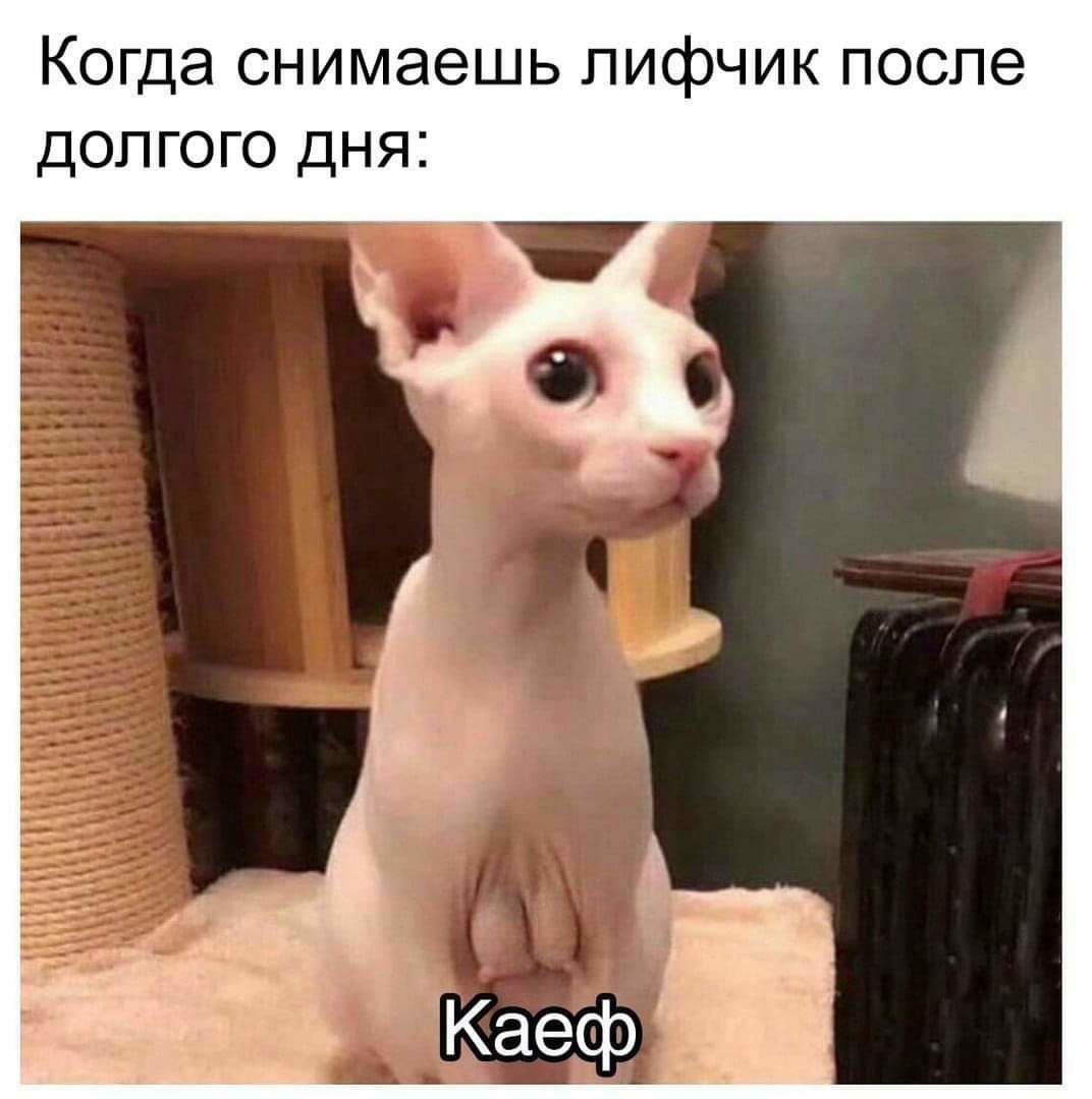 Когда снимаешь лифчик после долгого дня