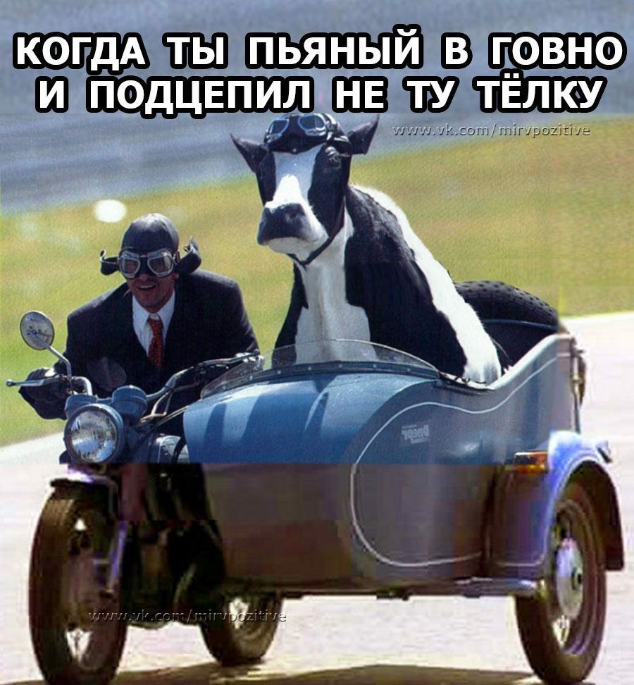 Когдаж ы пьяный вдговно и подцепилцнегтудтёлку,