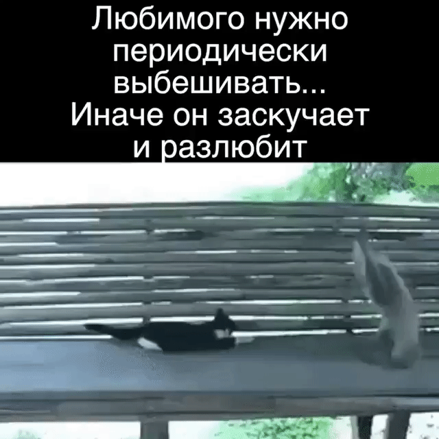 Любимого нужно периодически выбешивать Иначе он заскучает и іазлюбит _ _ ______ _ __ _ ___ _ _ _ __ ______ ____ _ ______ __ яч__