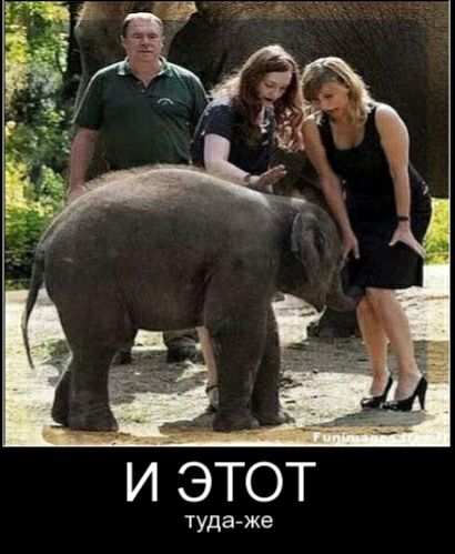 Этот туда же