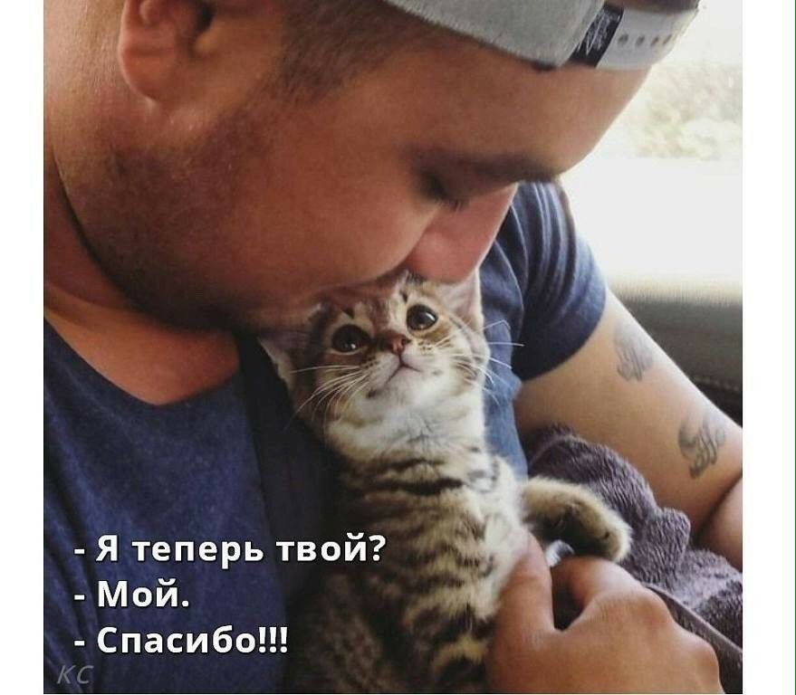 Я теперь твой Мой Спасибо