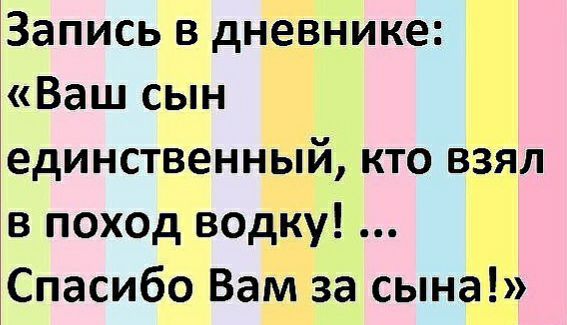 Запись в дневнике Ваш сын единственный кто взял в поход водку Спасибо Вам за сына
