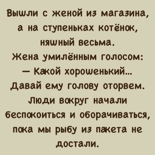 Вышли с женой из магазина а на ступеньках котёнок няшный весьма Жена умилённым голосом Какой хорошенький давай ему голову оторвем люди вокруг начали беспокоиться и оборачиваться пока мы рыбу из пакета не достали