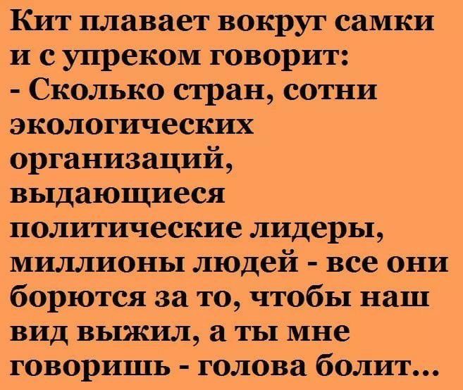 Кит плавает вокруг самки и с упреком говорит Сколько стран сотни экологических организаций выдающиеся политические лидеры миллионы людей все они борются за то чтобы наш вид выжил а ты мне говоришь голова болит