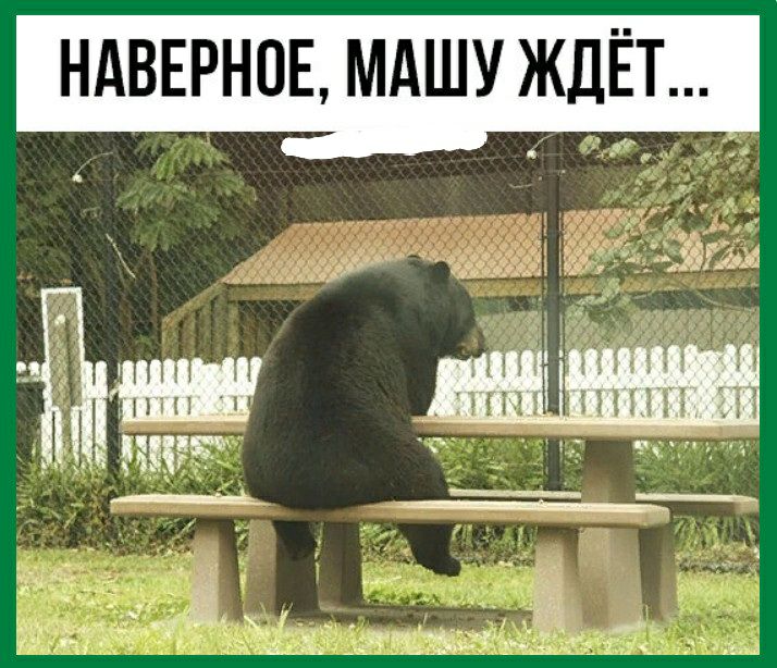 НАВЕРНОЕ МАШУ ЖДЁТ