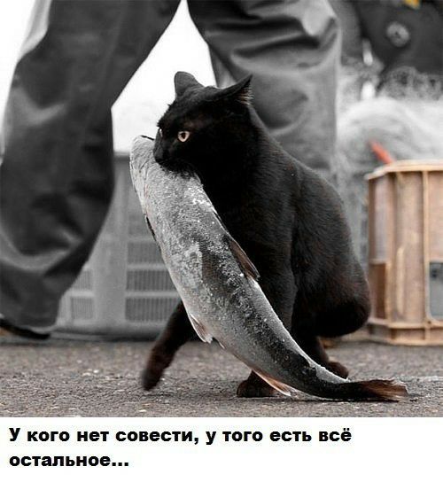 У кого нет совести у того есть все остальное
