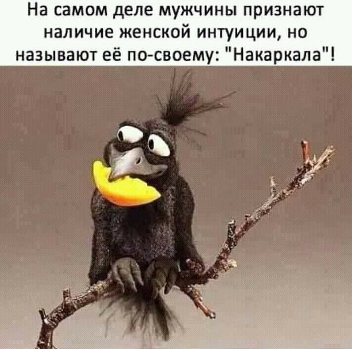 на самом деле МУЖЧИНЫ ПРИЗНЗЮТ НЗЛИЧИЕ ЖЕНСКОЙ ИНТУИЦИИ НО называют её по своему Накаркала