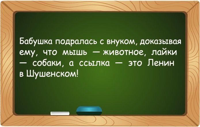 Бабушка подрались с внуком доказывая ему что мышь животное лайки собаки 0 ссылка это Ленин в Шушенском