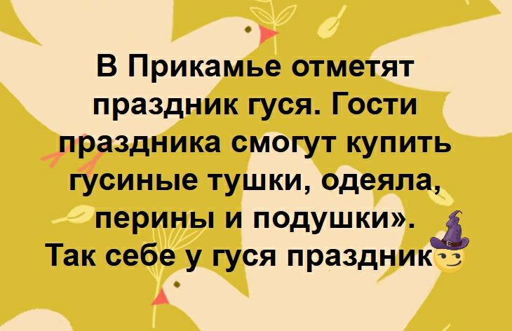 В Прикамье отметят праздник гуся Гости праздника смогут купить гусиные тушки одеяла перины и подушки Так себе у гуся празднию А