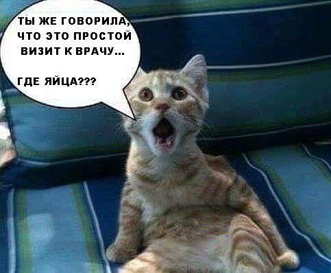 ЖЕ ГПЕПРИПА чта эта пгастаи визит КЕРАЧУ ГдЕ яИЦА