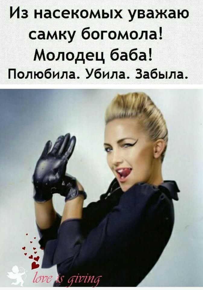 Из насекомых уважаю самку богомола Молодец баба Полюбила Убила Забыла г 72771