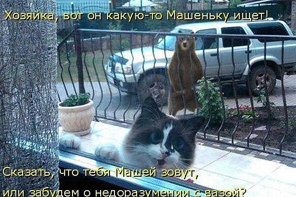 д ипи забупем о недовазу