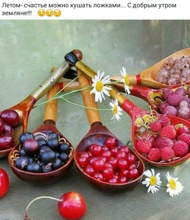 Летом счастье можно кушать ложками С добрым утром земляне
