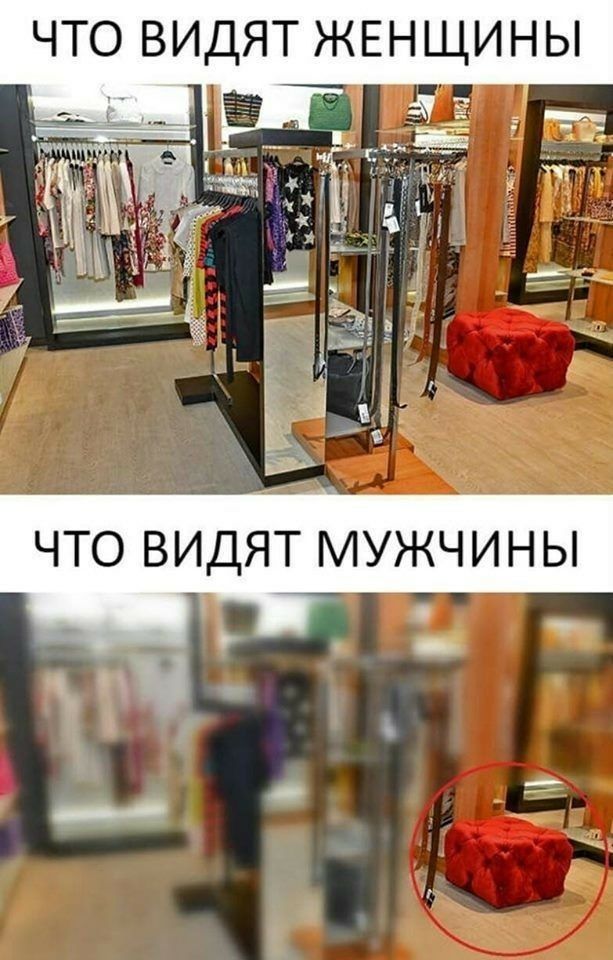 ЧТО ВИДЯТ ЖЕНЩИНЫ