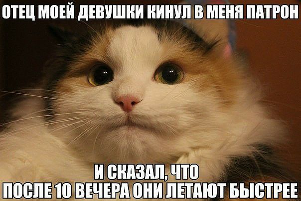 ПТШ МВЕЙ дЕШШНИ НИШ В МЕНЯ ПАТП _ и вндздпмті піоепыо ВЕНЕВМШИ пшют БЬЮТРЕЕ