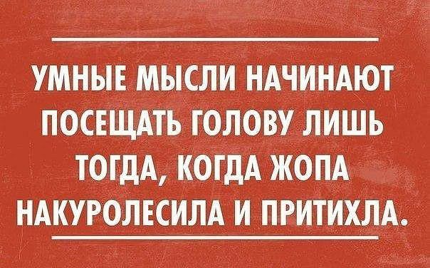 _ УМНЫЕ МЫСЛИ НАЧИНАЮТ ПОСЕЩАТЬ ГОЛОВУ ЛИШЬ ТОГДА КОГДА ЖО НАКУРОЛЕСИЛА И ПРИГИ