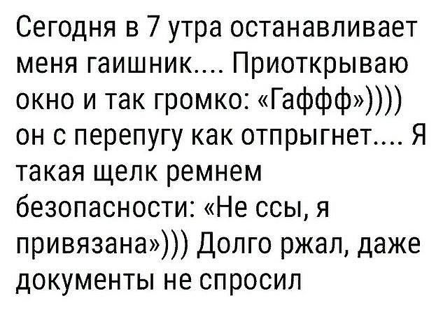 Сегодня в 7 утра останавливает меня гаишник Приоткрываю окно и так громко Гаффф он с перепугу как отпрыгнет Я такая щелк ремнем безопасности Не ссы я привязана Долго ржал даже документы не спросил