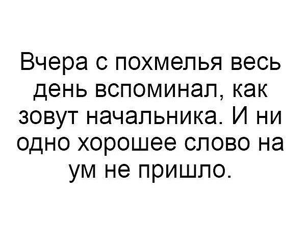 Вчера с похмелья весь день вспоминал как зовут начальника И ни одно хорошее слово на ум не пришло