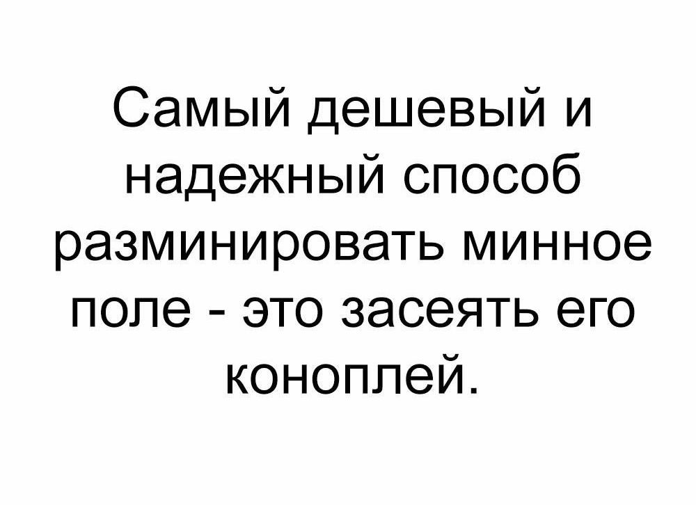 Самый дешевый и надежный способ разминировать минное поле это засеять его коноплей