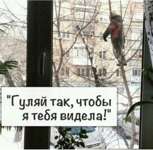 Гуляй такчтобы я тебя видела пу