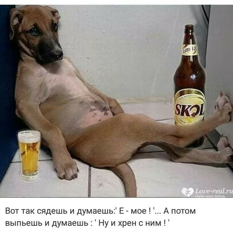 Вот так сядешь и думаешь Е мое А потом выпьешь и думаешь Ну и хрен с ним