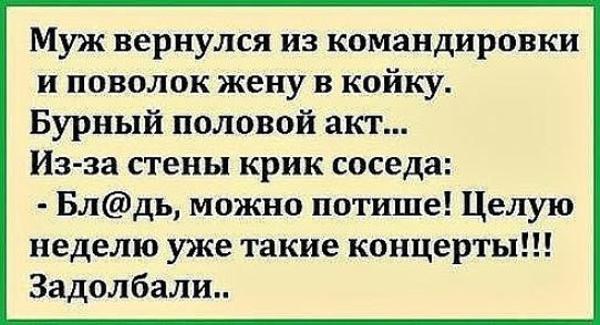 Муж вернулся из командировки и поволок жену в койку. Бурный половой акт... Изза стены крик соседа:  блдь, можно потише! Целую неделю уже такие концерты!!! Задолбали..