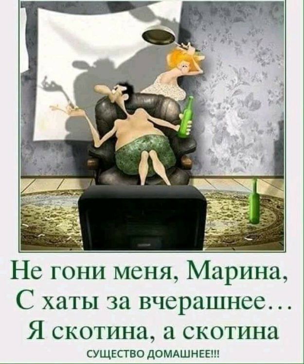 Не гони меня Марина С хаты за вчерашнее Я скотина а скотина СУЩЕСТВО дОМАШ НЕЕ
