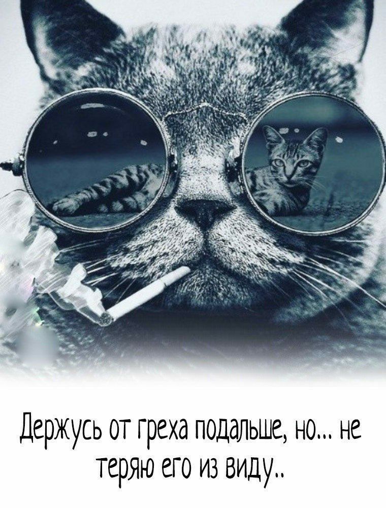 Держусь от греха подальше но не теряю его из виду