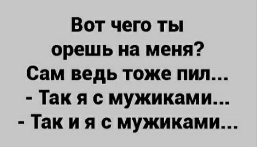 Вот чего ты орешь на меня Сам ведь тоже пил Так я с мужиками Так и я с мужиками