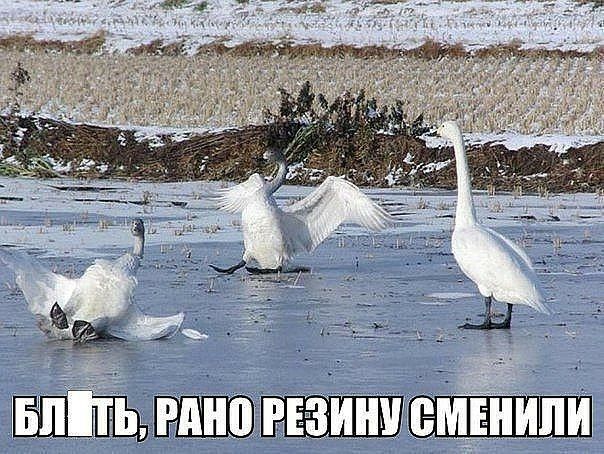 4 елить, рано резину сменили