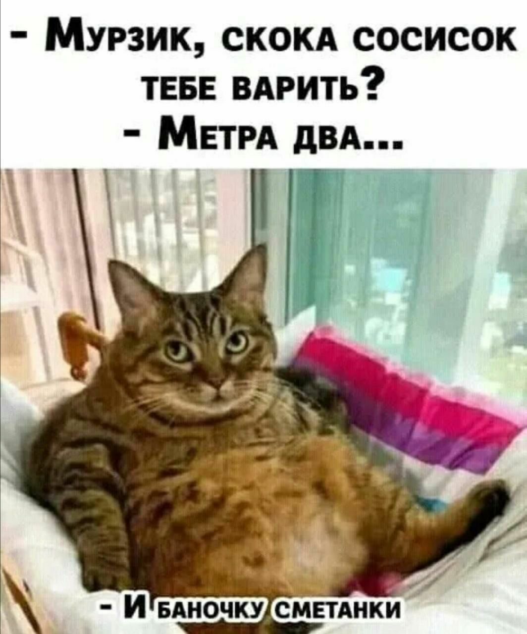 Мурзик скокд сосисок ТЕБЕ вдрить МЕТРА двд іі А _Ё ЕТАНКИ