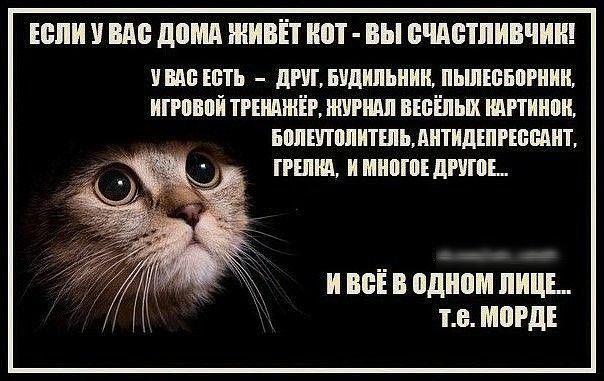 ЕЫШ ВМ дамп ЖИВЁТ ШП ВЫ БШБШИВЧИШ ВМЗ ЁБТЬ АПТ БУДНЯМ ПЬШШБШПИИ ППШ ТРЁШЖЁР ЖУРШШ ВЁБЁЯЫХ ШПИМИ БМЁПМИТШЬ АИТИДШРШМИЪ ПЕШЩ И ШШШ ЦПП И ВБЁ В одном пинг тн МОРДЕ