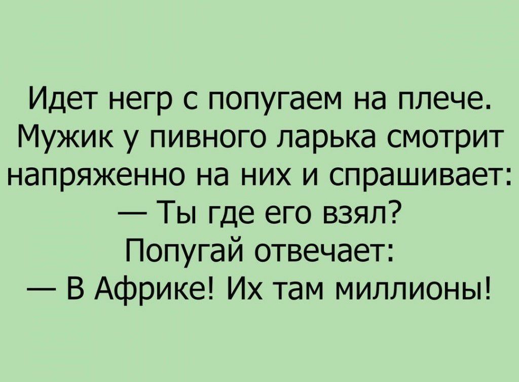 Идет негр с попугаем на плече Мужик у пивного ларька смотрит напряженно на них и спрашивает Ты где его взял Попугай отвечает В Африке Их там миллионы