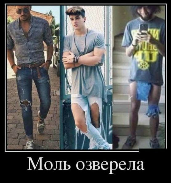 Моль озверела