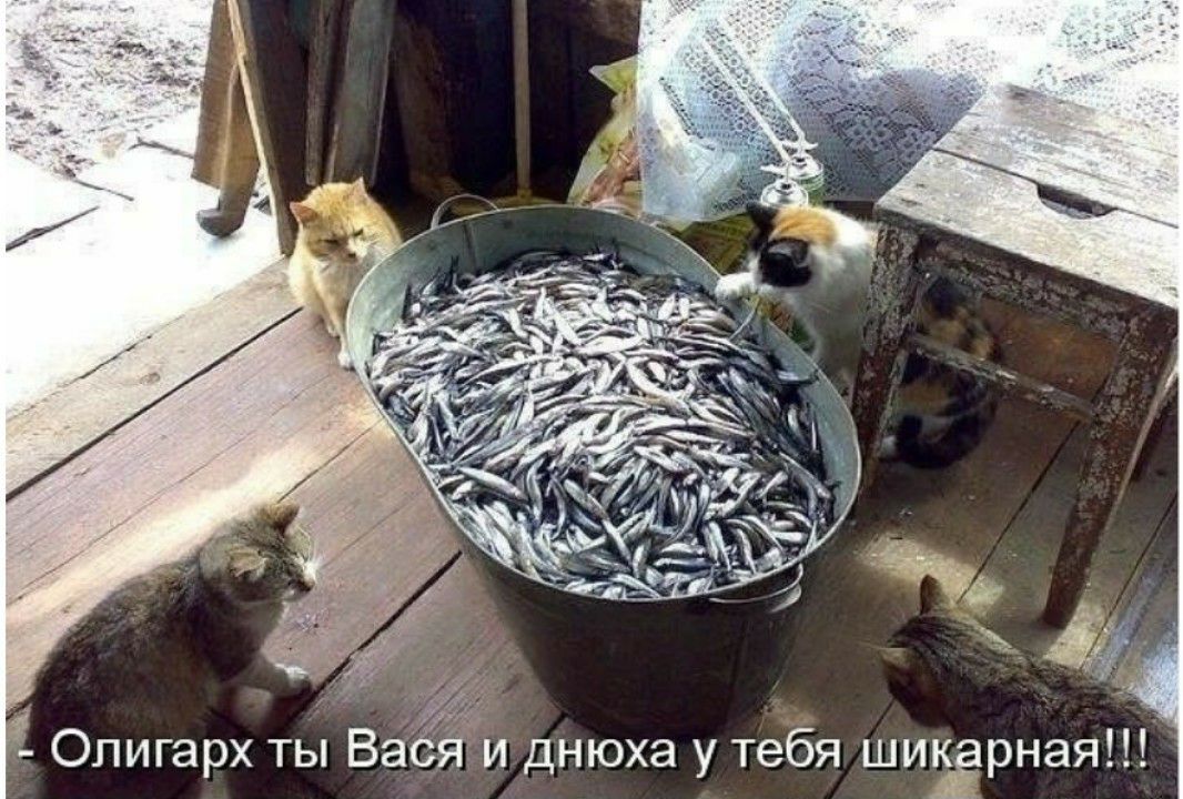И 4 е олигарх ты ва:ё; и днюха у тебя шикёрная!н