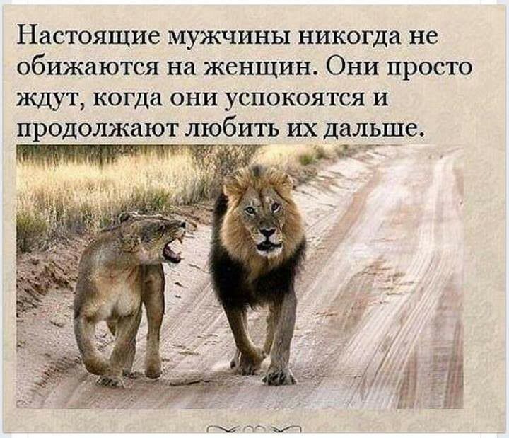 Настоящие мужчины никогда не обижаются на женщин Они просто ждут когда они успокоятся и продолжают любить их дальше