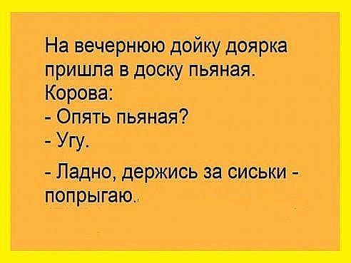 Н_а вечернюю дойку доярка пришла в доску пьяная Корова Опять пьЯная Угу Ладно держись за сиськи попрыгаю